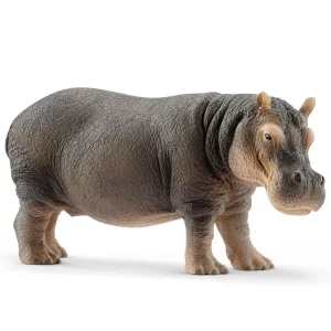 hipopotamo sleich